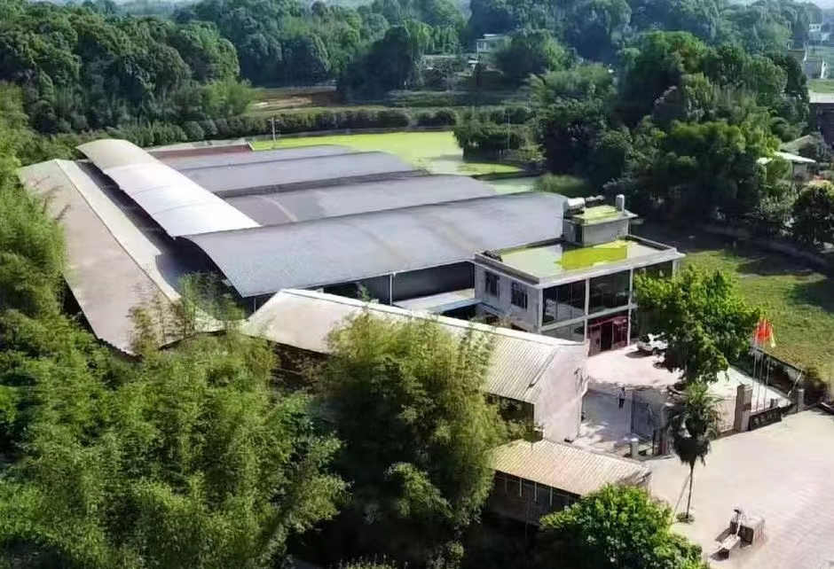 公司形象四